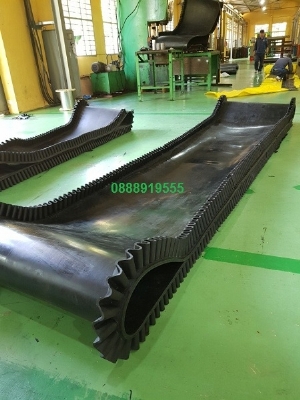 Băng tải cao su gầu bèo